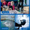 Cronda Base Upgraded Scuba Diving System - Alezay Kuwait - Cronda Kuwait