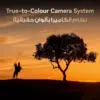 Huawei Mate 80 Pro - Huawei Kuwait - Alezay Kuwait